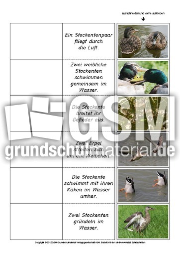 Flip-Flap-Zuordnung-Stockente-lesen 3.pdf